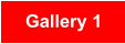 Gallery 1
