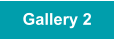 Gallery 2